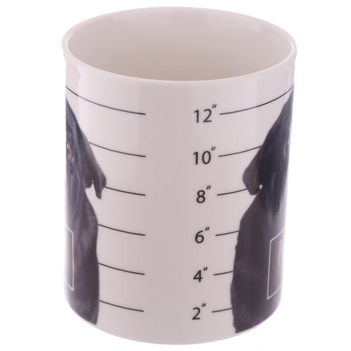 Pug Shot Bone China Mug