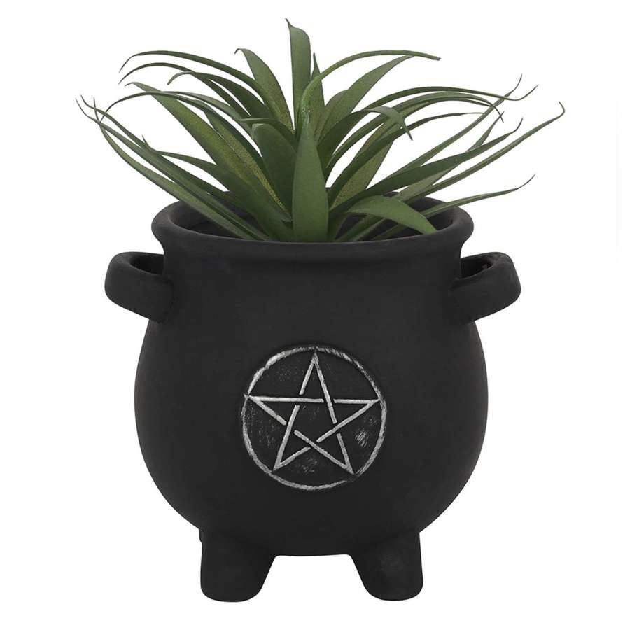 Cauldron Plant Pot